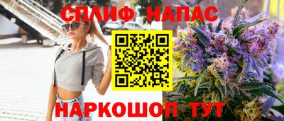 кокс Гатчина