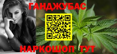 шишки Гай