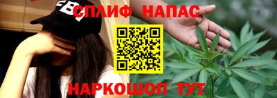 шишки Гай