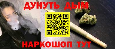 кокс Гатчина