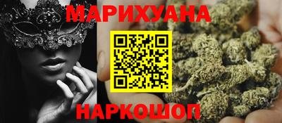 шишки Гай