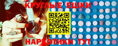 шишки Гай